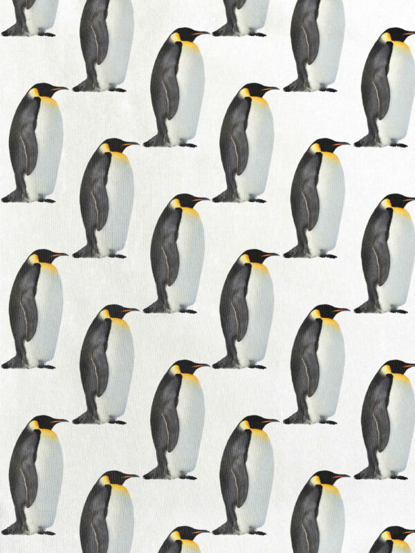 Snurk Penguin Sweater Pants Pyjama Kids