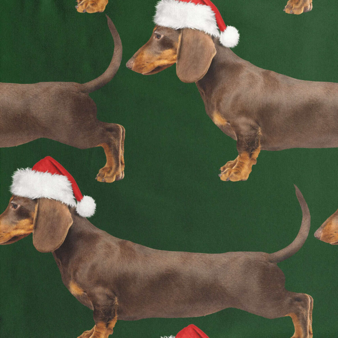 SNURK James XMAS